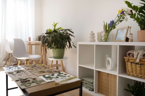 Exploring Sustainable Living: The Rise of Eco-Friendly Furniture Rentals in Pune